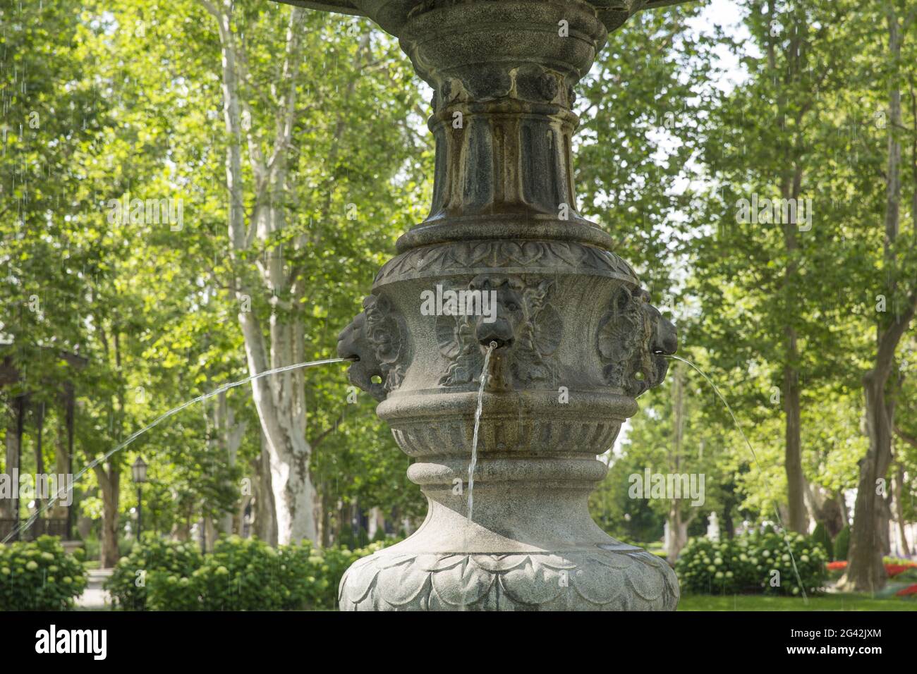 Nel giardino pubblico Foto Stock