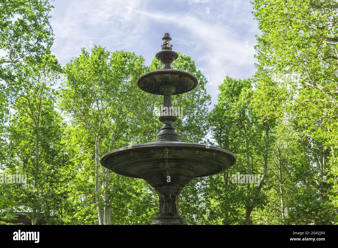 Nel giardino pubblico Foto Stock