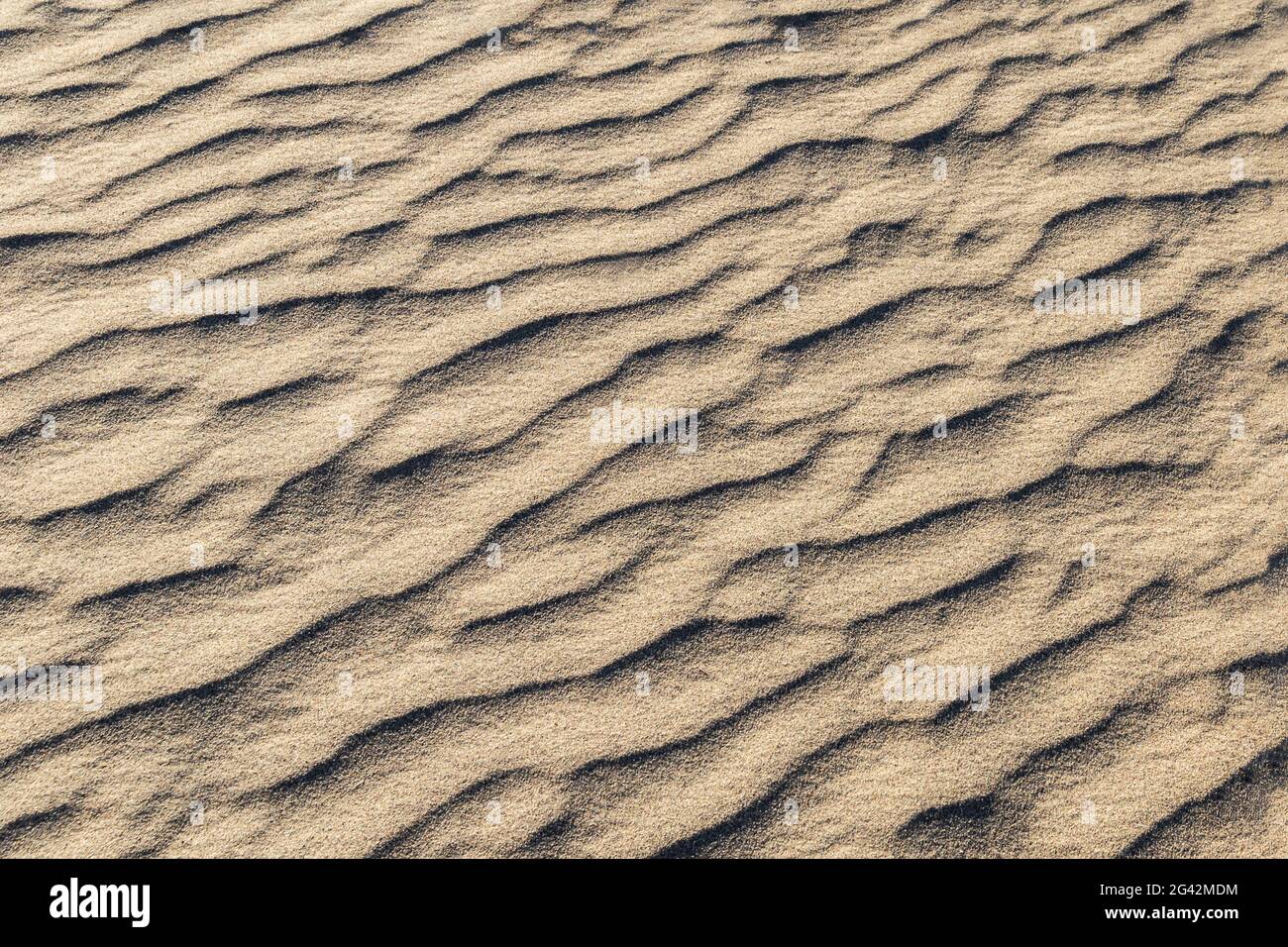 Modelli in sabbia creati dal vento, Mesquite Dunes, Death Valley, California. L'effetto complessivo è un pattern calmo e scorrevole. Foto Stock