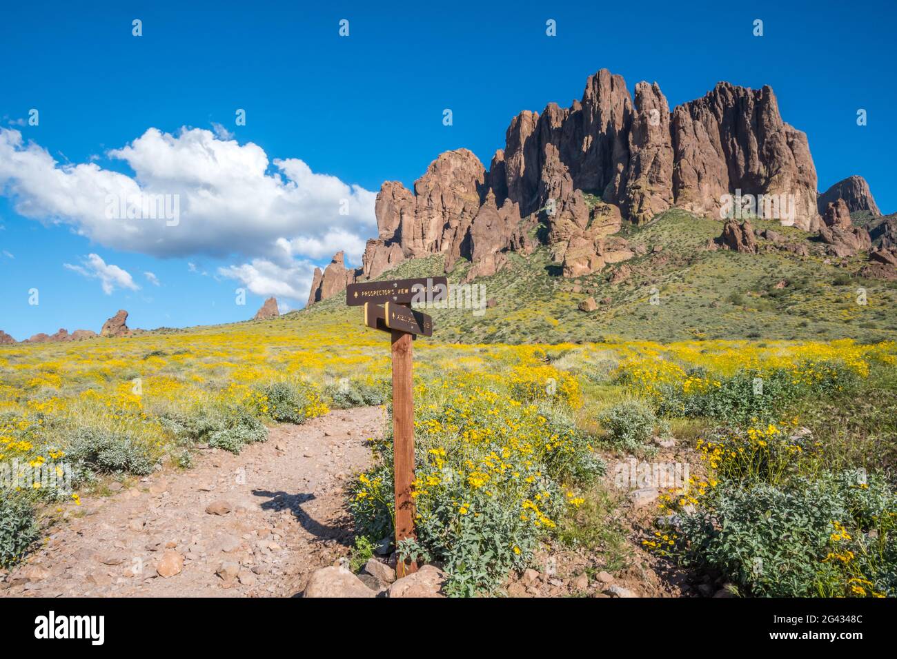 Una tavola di descrizione per i sentieri in Lost Dutchman SP, Arizona Foto Stock