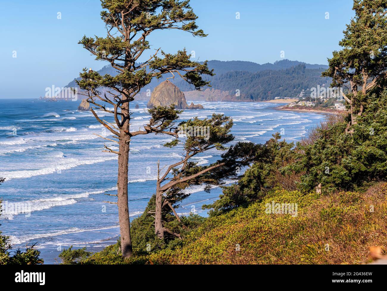 Paesaggio con costa dell'Oceano Pacifico, Cannon Beach, Oregon, Stati Uniti Foto Stock