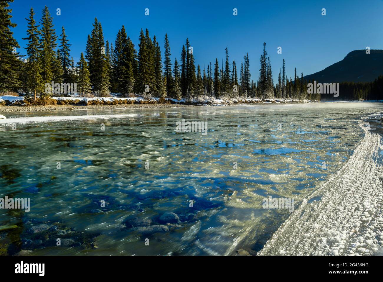 Paesaggio con ghiaccio sul fiume Bow, Alberta, Canada Foto Stock
