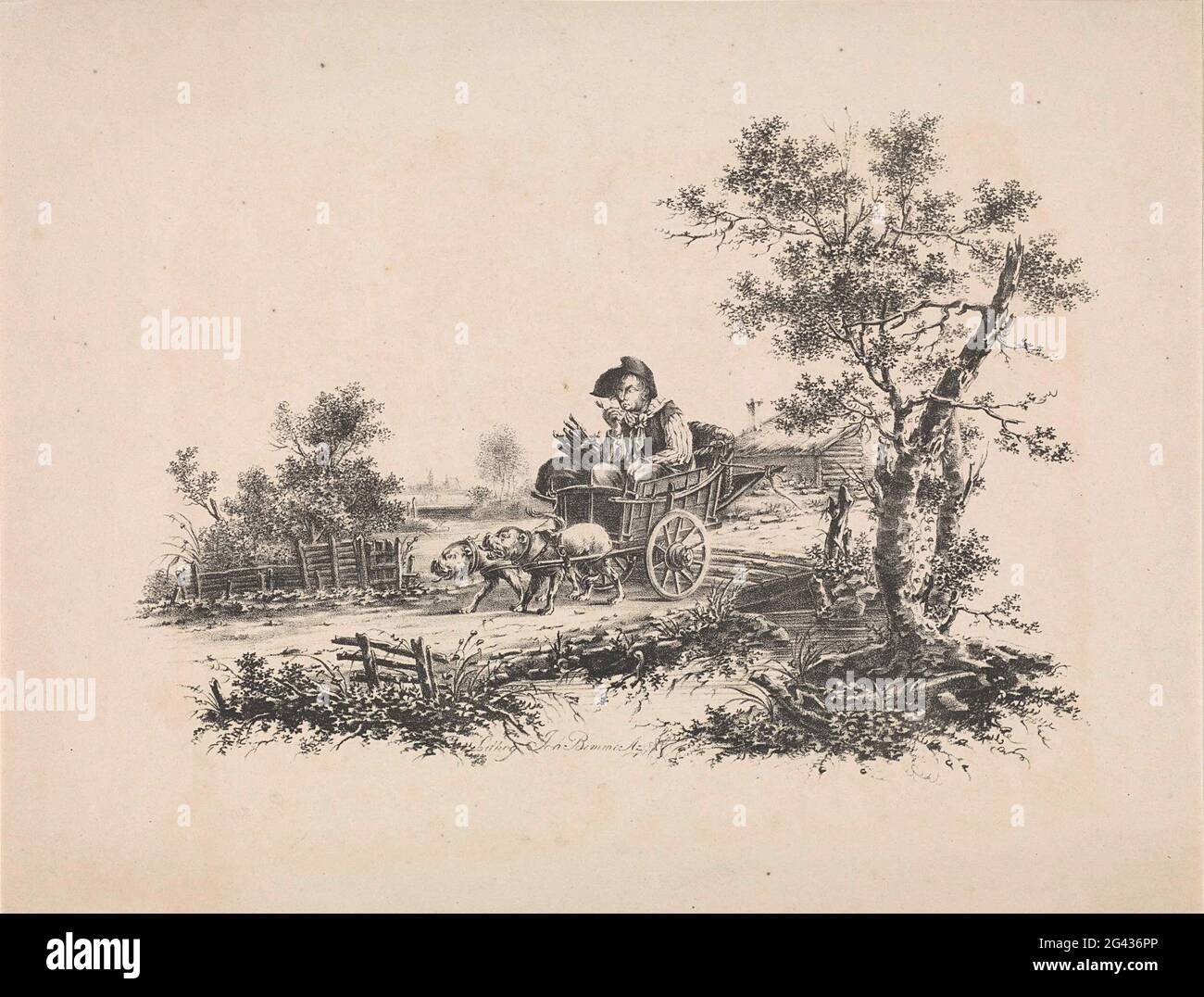 Uomo nel carrello del cane. L'uomo si siede leggermente piegato. Il carrello ha due ruote ed è pre-trainato da due cani. Foto Stock