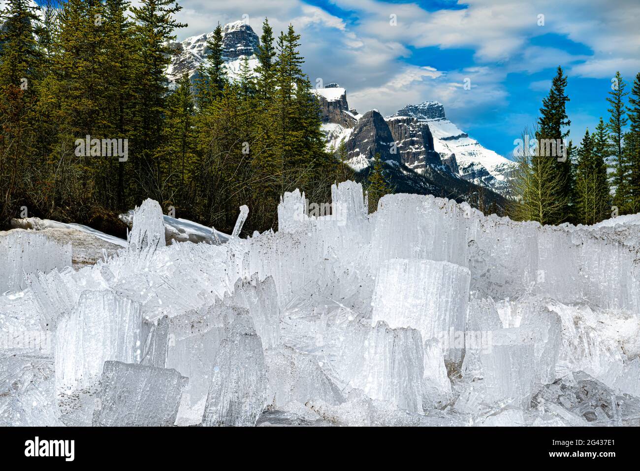 Paesaggio con cristalli di ghiaccio, Banff National Park, Alberta, Canada Foto Stock