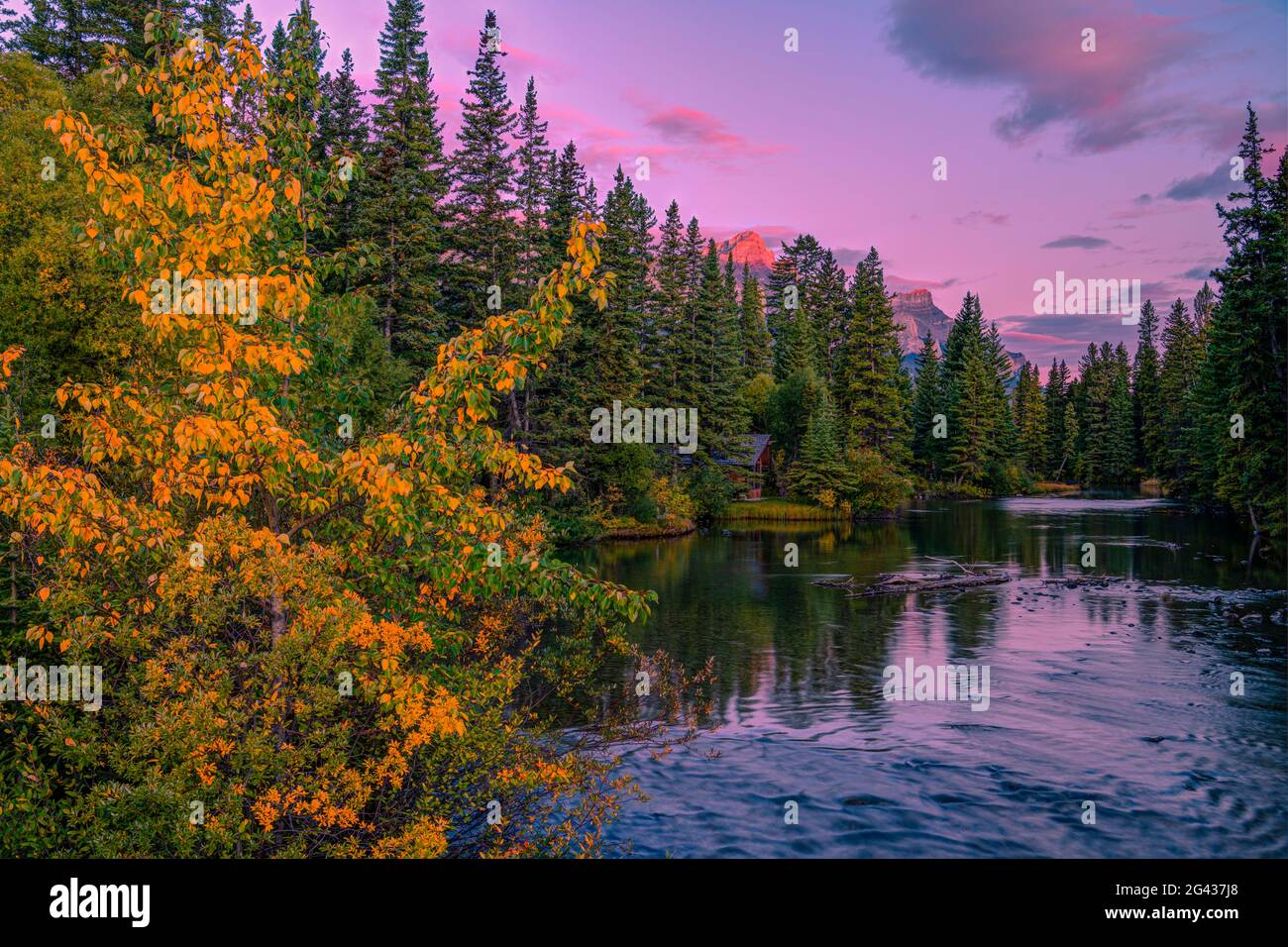 Paesaggio con foresta e torrente in autunno, Polizian Creek, Canmore, Alberta, Canada Foto Stock