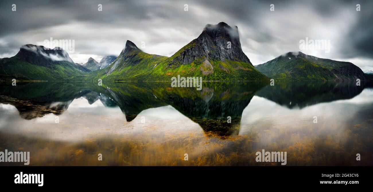 Montagne e fiordi, Steinsfjorden, Lofoten, Norvegia Foto Stock