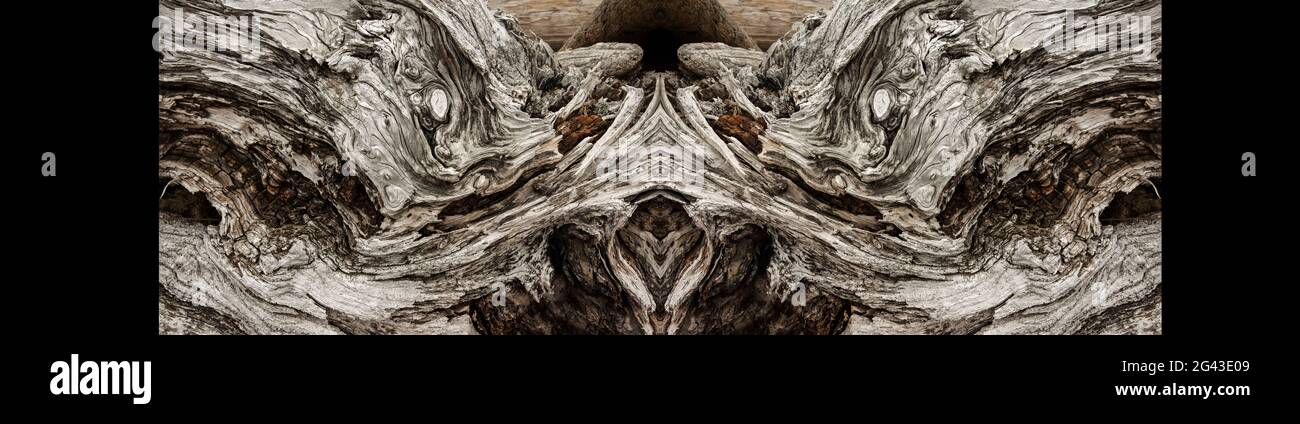 Driftwood con effetto specchio, Bandon, Oregon, Stati Uniti Foto Stock
