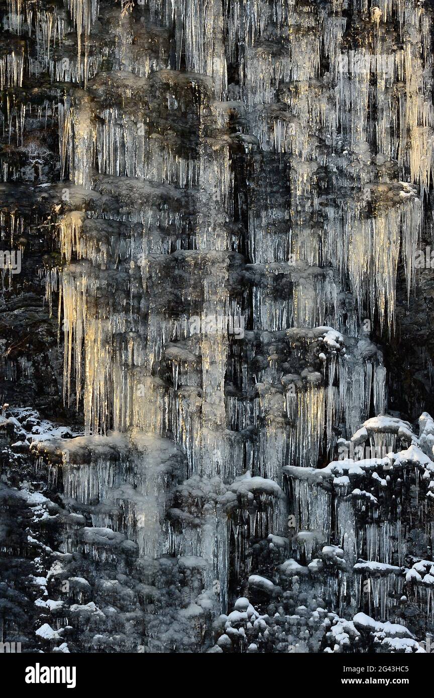 Lunghe iciclette su una roccia alla luce, Nybodarna, Lapponia, Svezia Foto Stock