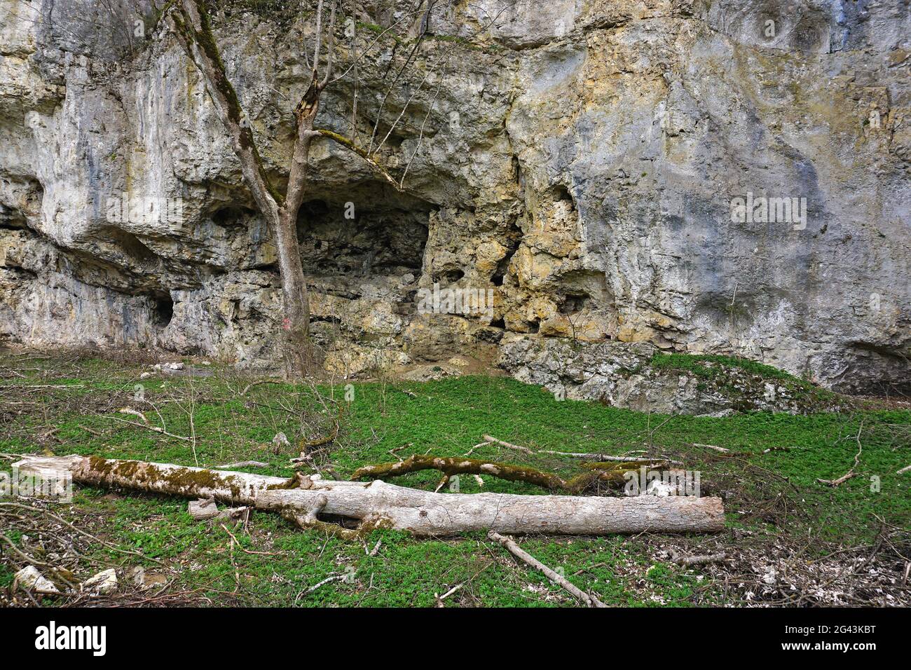Scogliere calcaree nella valle del fiume GroÃŸe Lauter nella zona della biosfera dell'Alb Svevo, in Germania Foto Stock