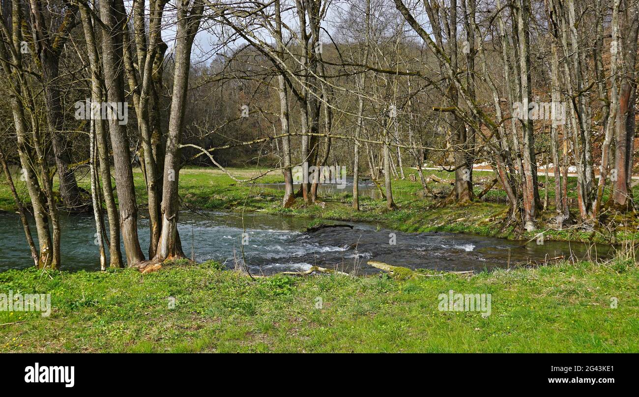 Nella valle del fiume Lauter, zona della biosfera dell'Alb Svevo, Germania Foto Stock