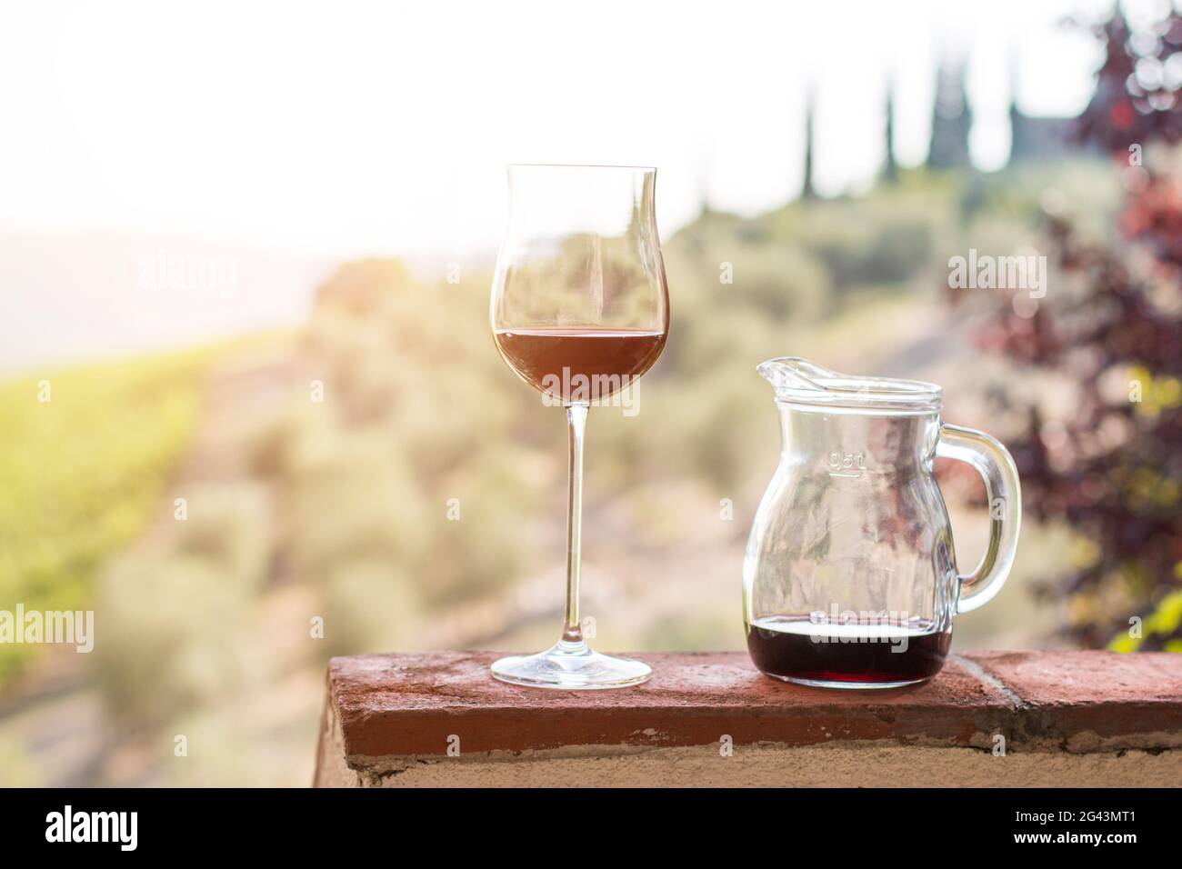 Bicchiere di vino rosso in Toscana. Vigneti sullo sfondo. Sole. Foto Stock
