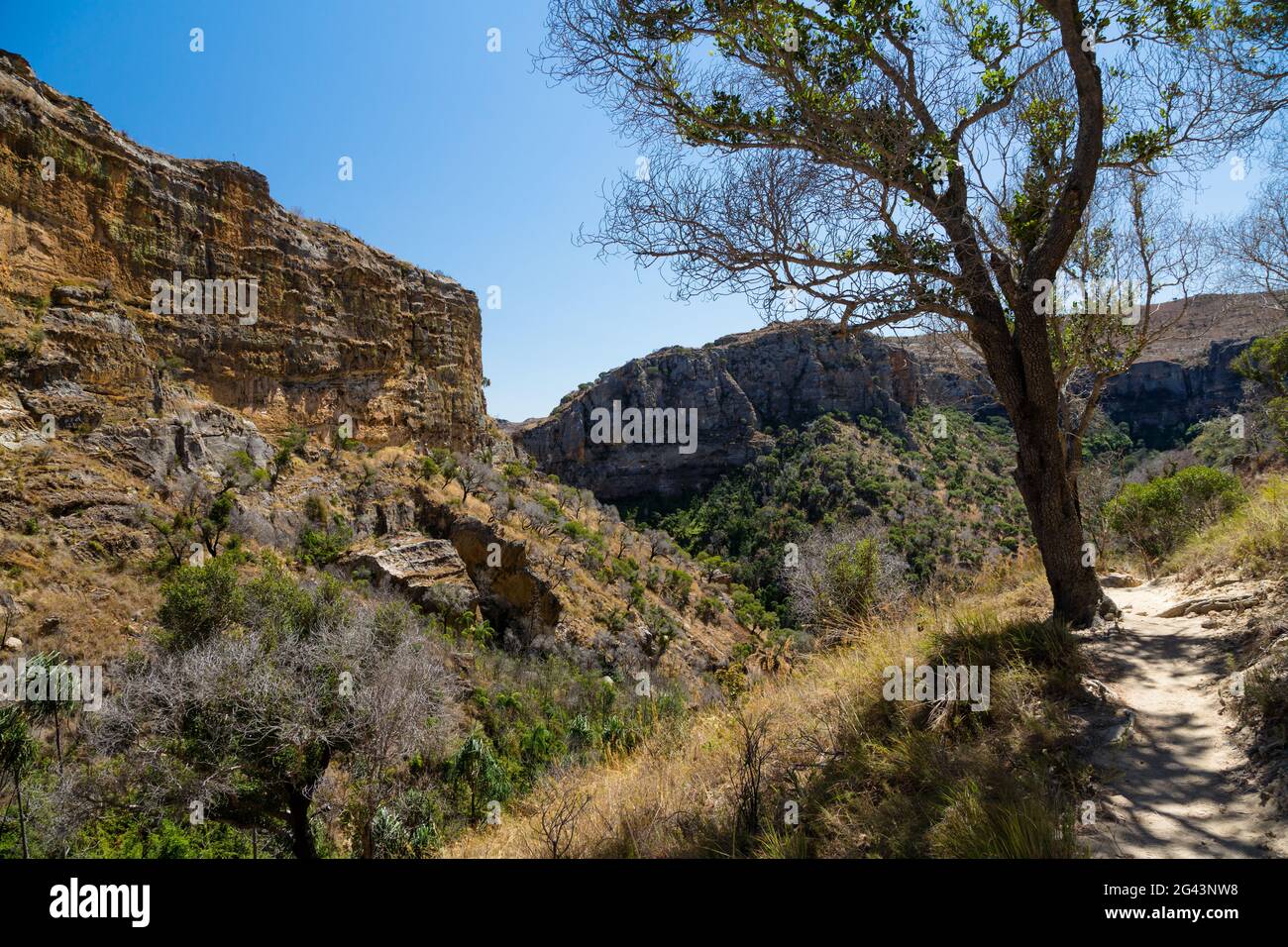 Parco Nazionale di Isalo vicino a Ranohira, regione di Ihorombe, Madagascar meridionale, Africa Foto Stock