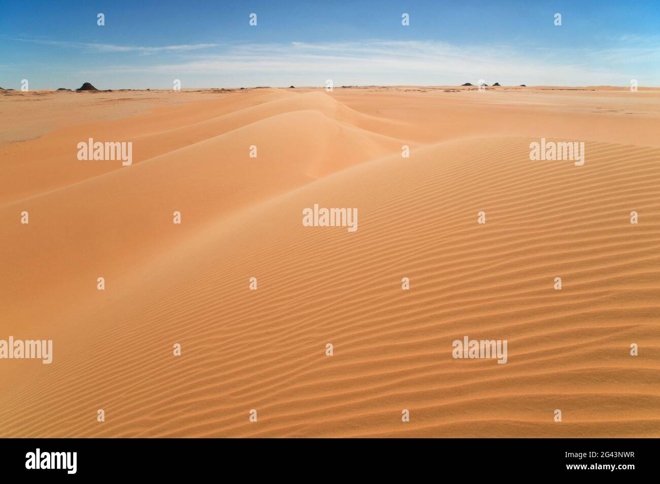 Ondate di vento su una grande duna di sabbia balenata sul bordo del Grande Mare di sabbia, nella regione del deserto occidentale del Sahara, in Egitto. Foto Stock