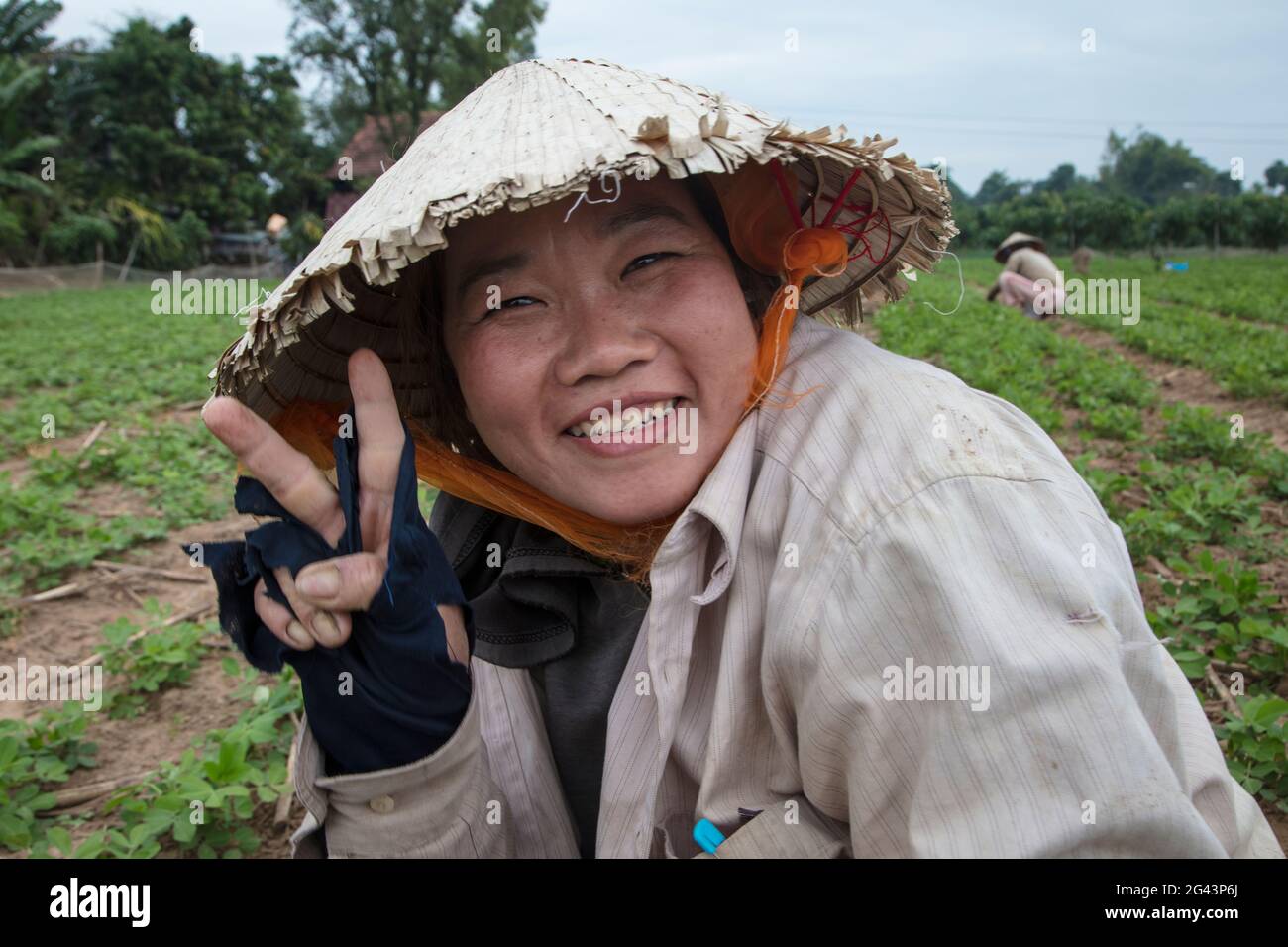 Ritratto di una donna vietnamita audace che indossa un cappello conico e lavora in un campo di arachidi, il mio canale Luong, il fiume Mekong, vicino a My An Hung, An Gia Foto Stock