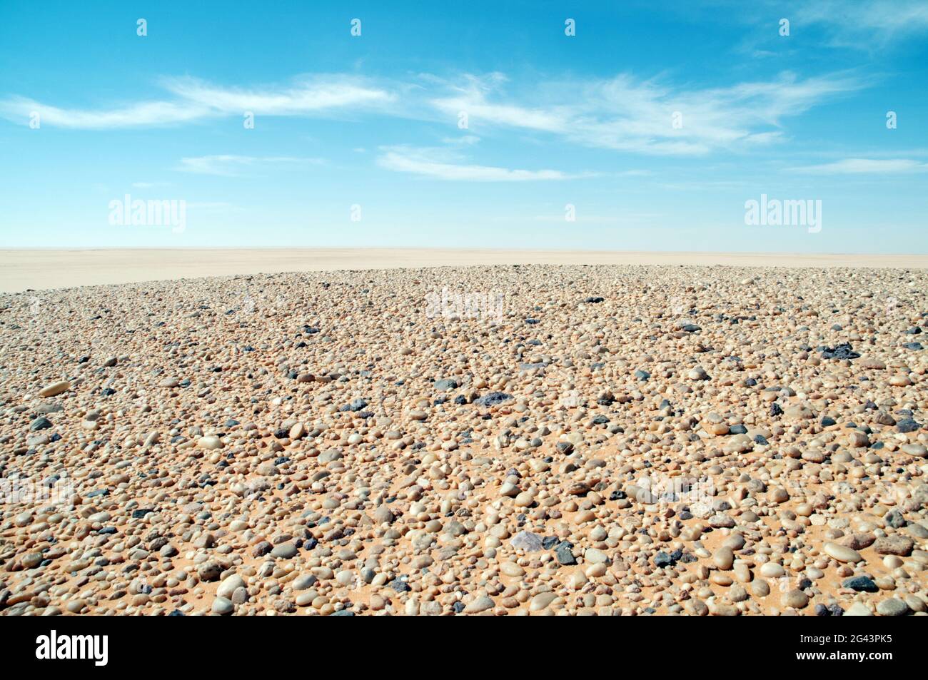 Il pavimento del deserto disseminato di innumerevoli ciottoli, parte di un antico fondo marino secco, nella regione del deserto occidentale del Sahara, nel sud-ovest dell'Egitto. Foto Stock