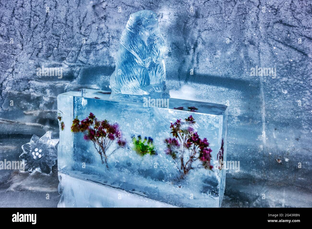 Fiori congelati e sculture di ghiaccio nel Palazzo di ghiaccio a Jungfraujoch, Vallese, Svizzera Foto Stock
