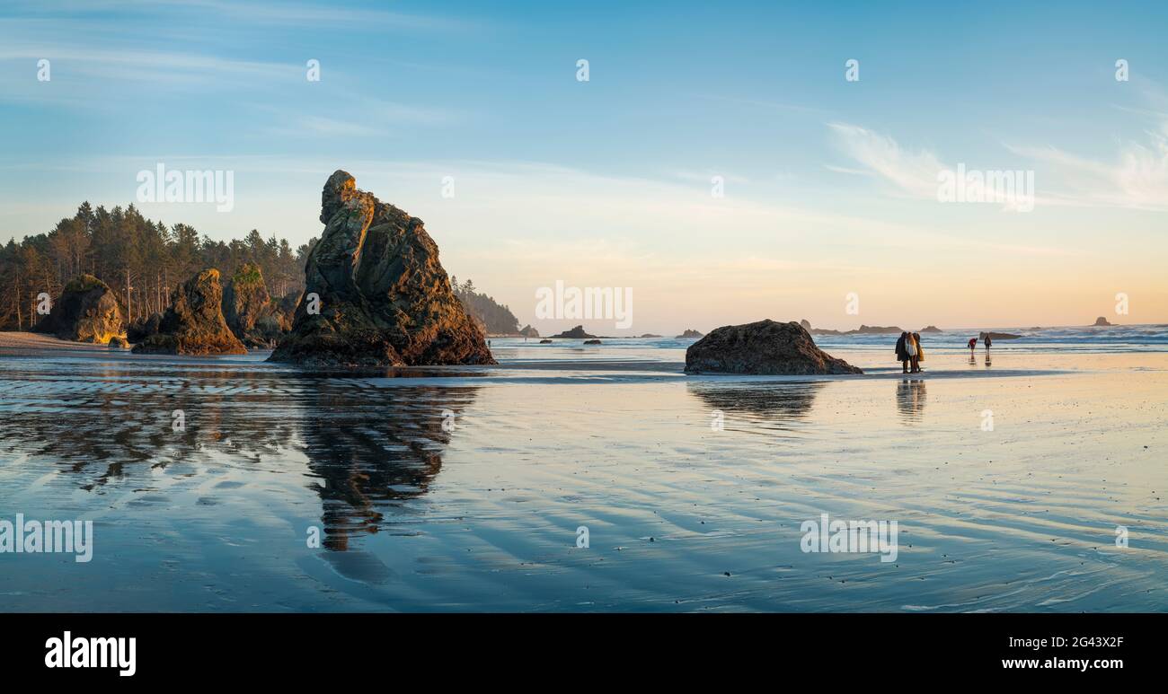Sea stack formazioni rocciose su Ruby Beach, Olympic National Park, Washington, USA Foto Stock