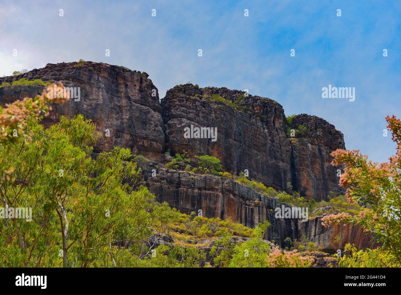 Parete rocciosa con alberi di eucalipto, Parco Nazionale di Kakadu, Jabiru, territorio del Nord, Australia Foto Stock