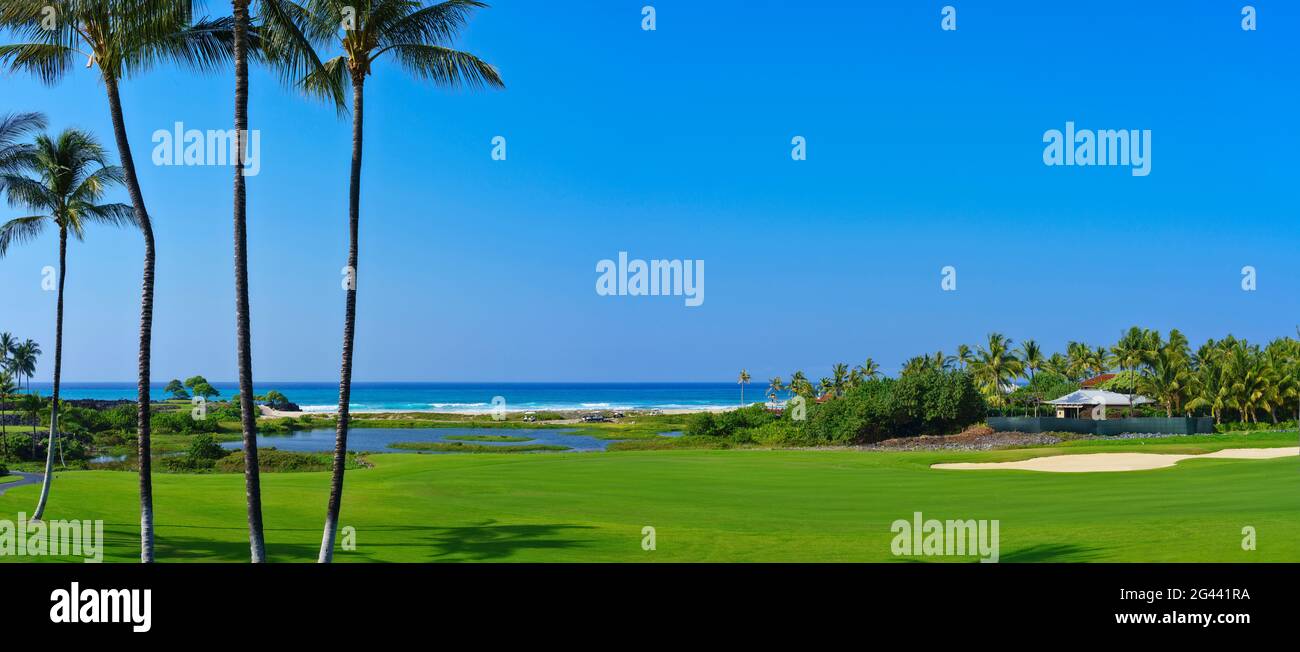 Paesaggio con campo da golf verde e palme, Hawaii Islands, Stati Uniti Foto Stock