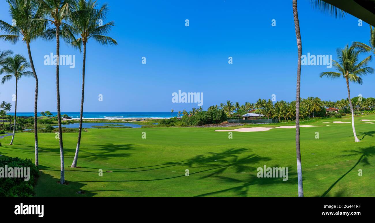 Paesaggio con campo da golf verde e palme, Hawaii Islands, Stati Uniti Foto Stock