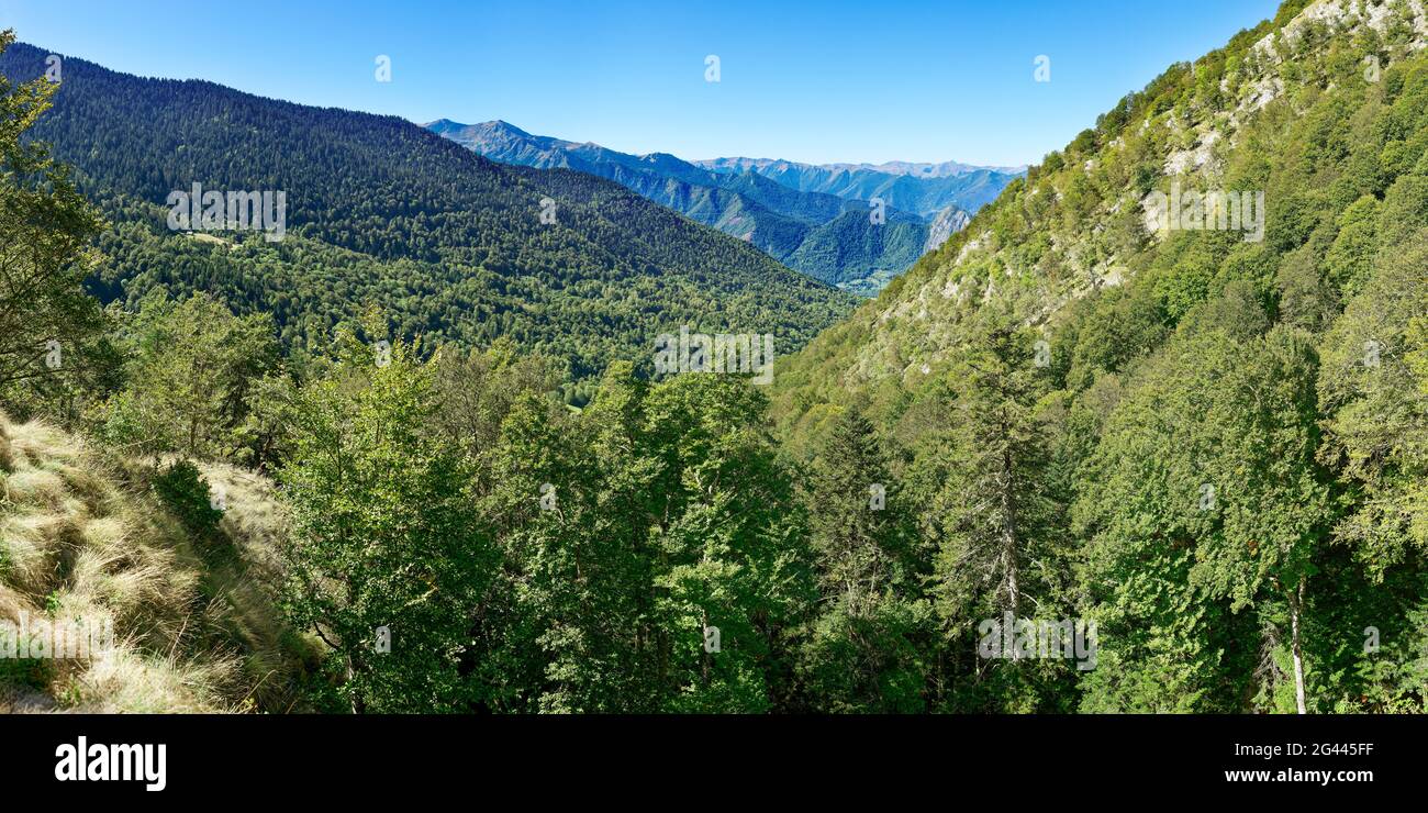 Paesaggio con valle verde e montagne, Boutx, alta Garonna, Occitanie, Francia Foto Stock