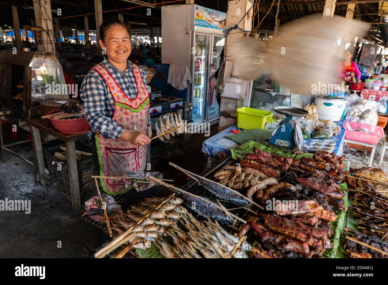 Donna amichevole grigliare carne e pesce nel mercato interno sotto un ventilatore con sacchetto di plastica per tenere lontano mosche, Houayxay (Huay Xai), Bokeo Provincia, Laos, A. Foto Stock