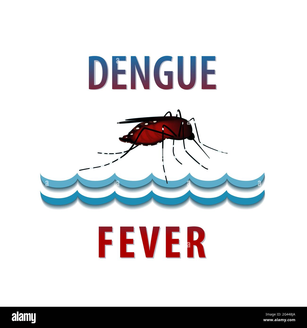 Febbre dengue, zanzara, insetto morbillo riempito di sangue, acqua in piedi, rischio per la salute pubblica, vettore di malattie infettive isolato su sfondo bianco Foto Stock