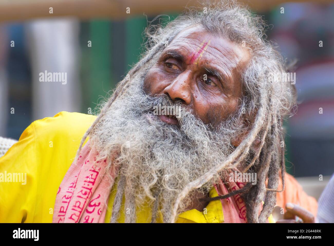 BABUGHAT, KOLKATA, BENGALA OCCIDENTALE / INDIA - 10 GENNAIO 2015 : Ritratto di Sadhu Indù con barba bianca. Foto Stock