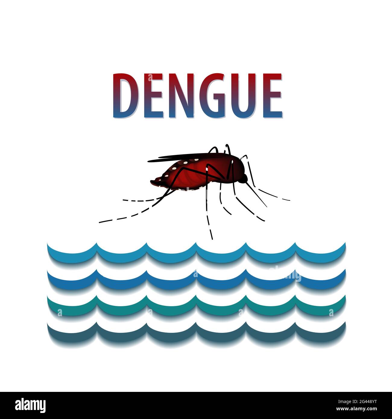 Febbre dengue, zanzara, insetto morbillo riempito di sangue, acqua in piedi, rischio per la salute pubblica, vettore di malattie infettive isolato su sfondo bianco Foto Stock