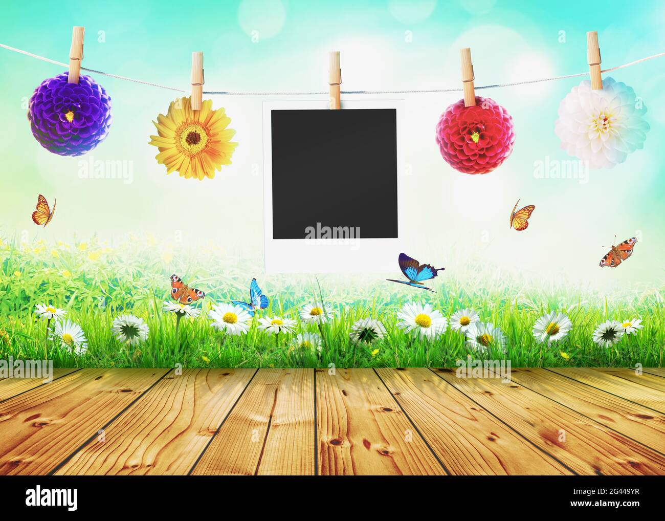 Panorama primaverile ed estivo con fiore di gerbera. Foto Stock