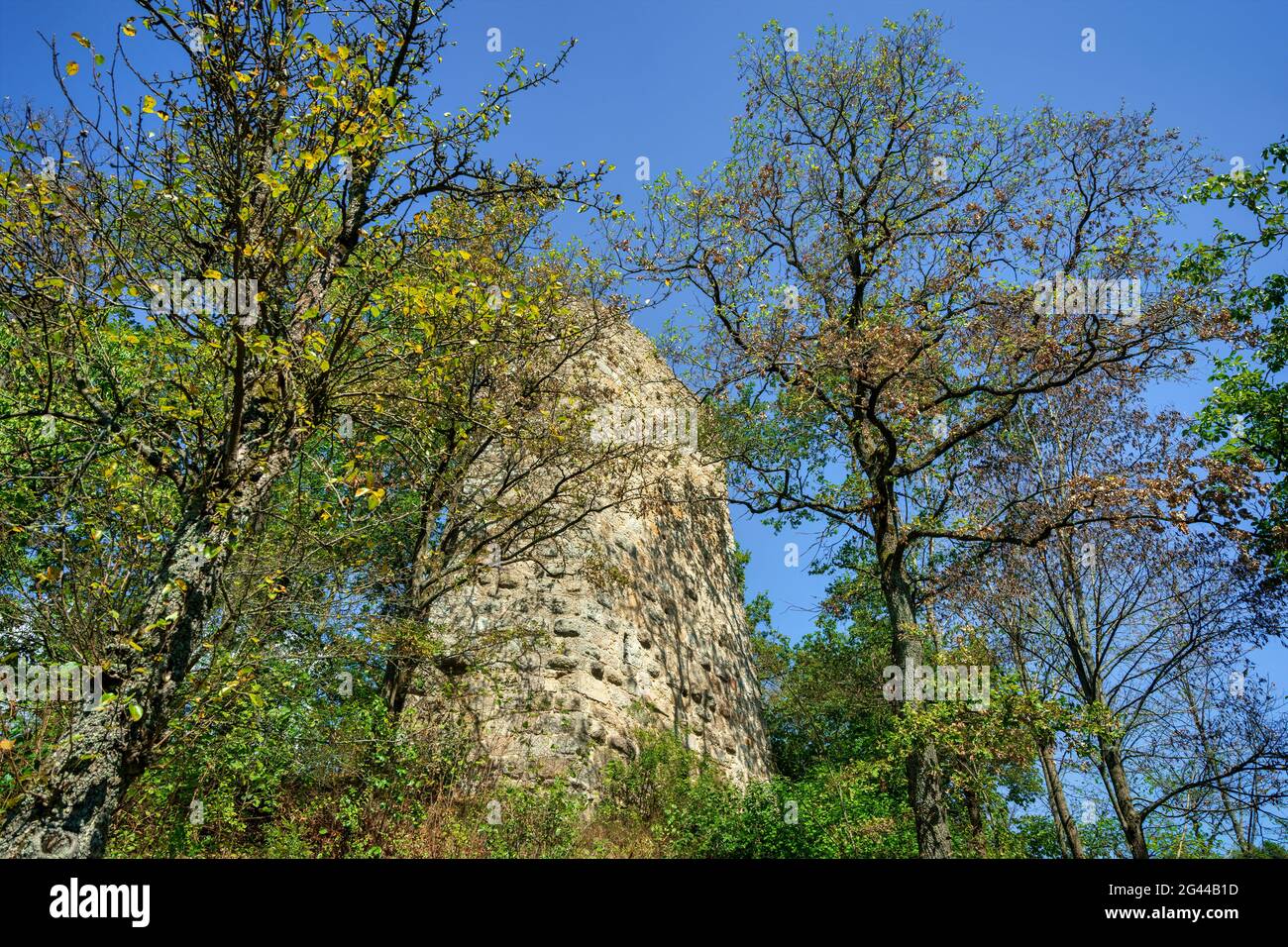 Sotto le rovine del castello di Siegenstein, Cham, Palatinato superiore, Baviera, Germania Foto Stock