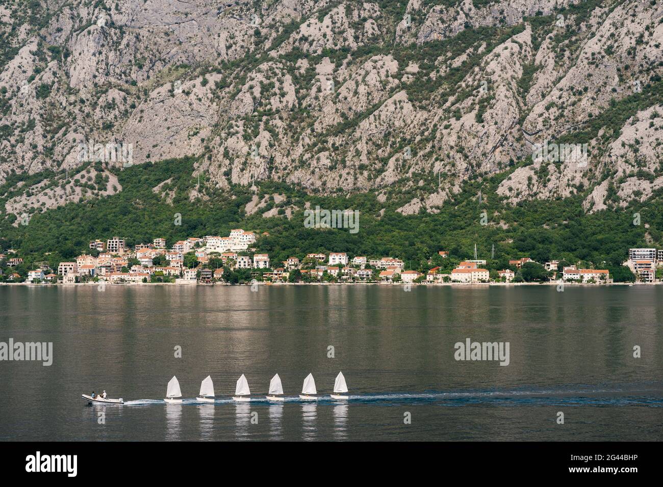 Barche a vela bianche seguono la barca a motore attraverso il mare contro Lo sfondo della baia di Kotor Foto Stock