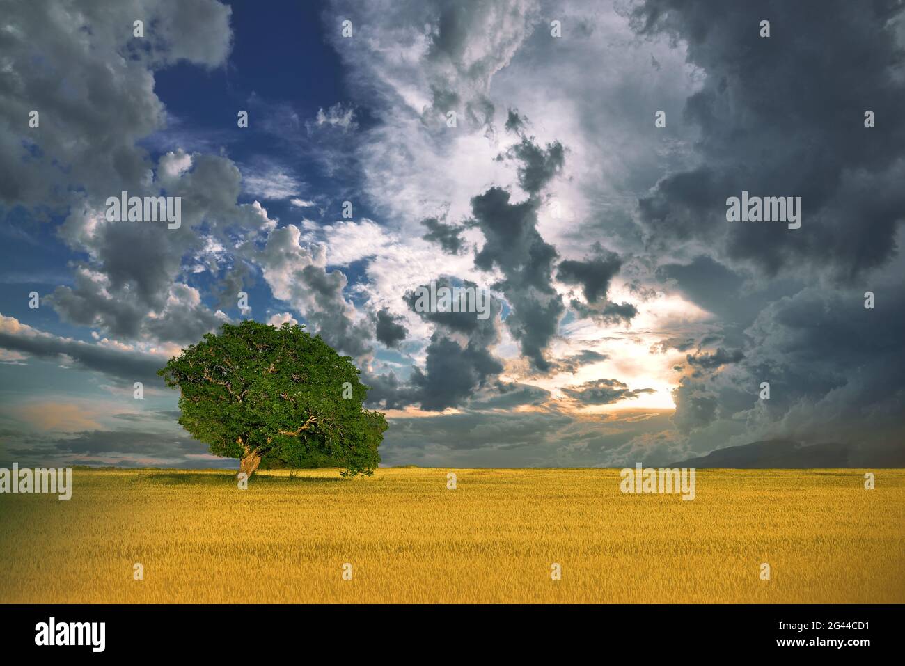 Incredibilmente bella natura.Art photography.Fantasy design.Creative background.Amazing albero colorato Foto Stock