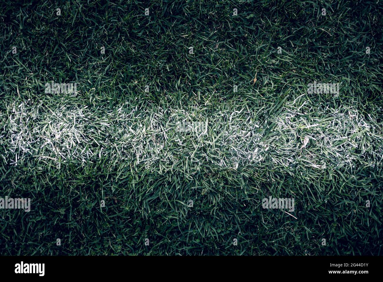 Striscia bianca sul verde del campo di calcio Foto Stock