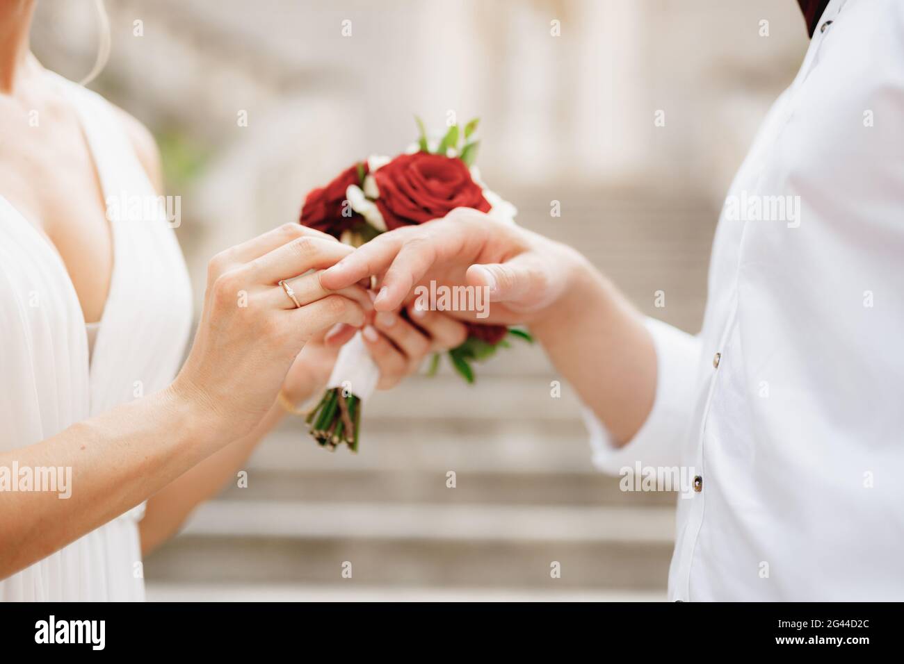 La sposa mette un anello di nozze sul dito dello sposo e contiene un bouquet di rose rosse e bianche la sua mano Foto Stock