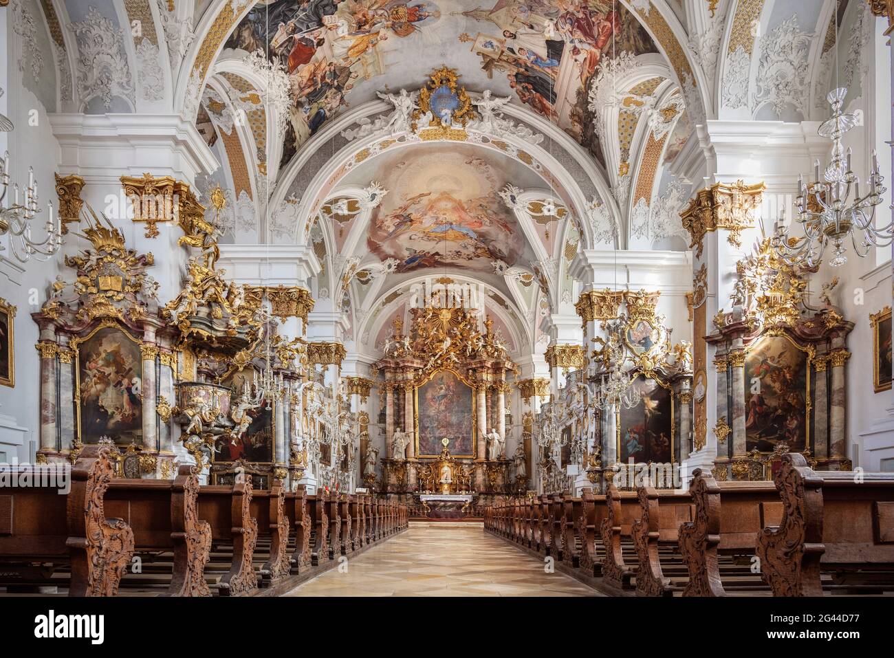 Studiare Chiesa dell'Assunzione a Dillingen an der Donau, Baviera, Germania Foto Stock