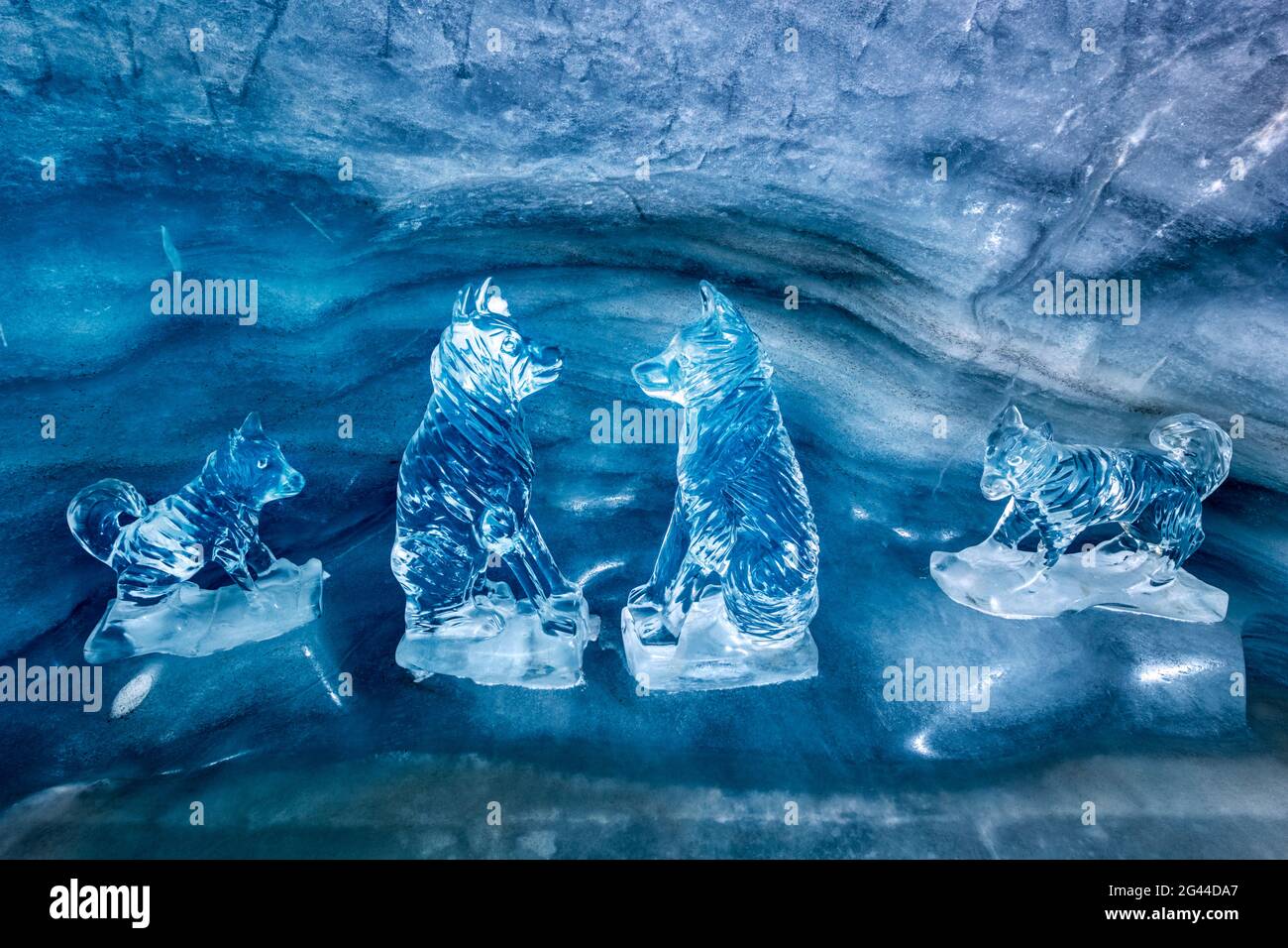 Sculture di ghiaccio per cani nel palazzo di ghiaccio a Jungfraujoch, Vallese, Svizzera Foto Stock