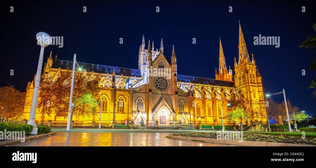 Notti luci della cattedrale di Santa Maria Chiesa luogo di culto religioso Sydney NSW Australia Saint Marys Cathedral Sydney Foto Stock