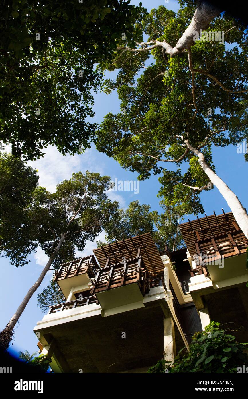 Vista dal basso di moderni bungalow sulla cima degli alberi nella giungla. Borneo, Indonesia. Foto Stock