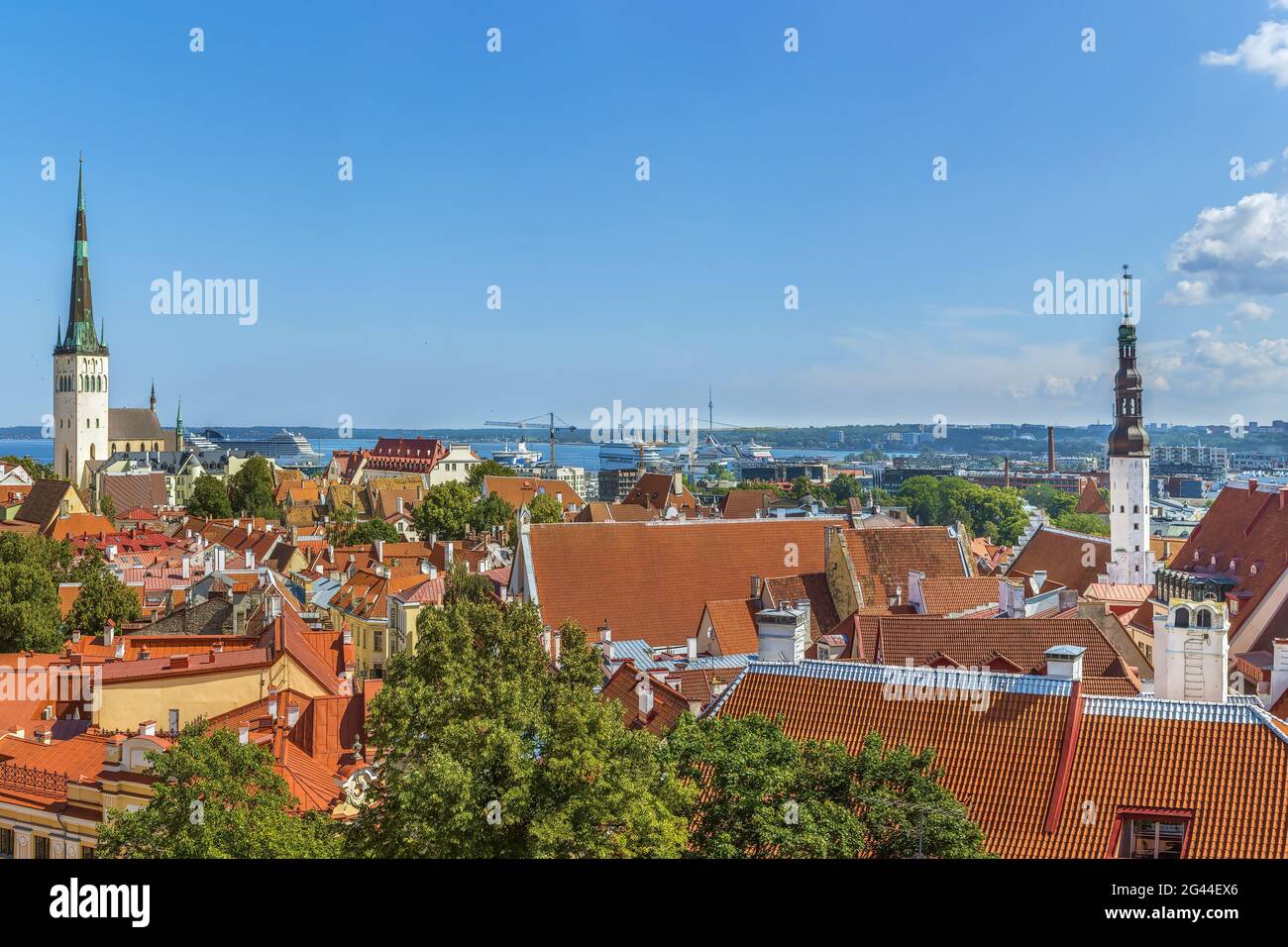 Vista di Tallinn, Estonia Foto Stock