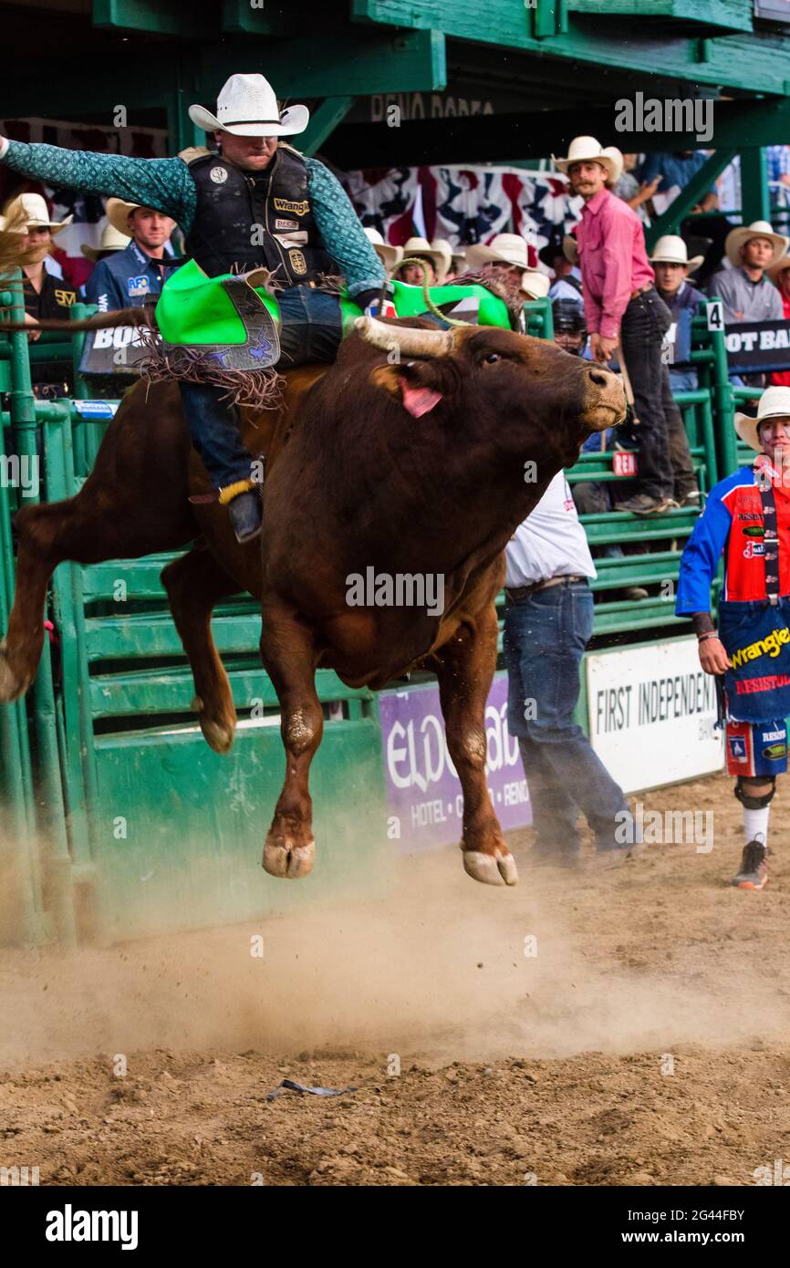 Reno, Stati Uniti. 17 Giugno 2021. Hawk Whitt su Classic Man From All in Pro Rodeos durante l'evento. Il 102° rodeo di Reno è iniziato con l'evento PRCA Xtreme Bulls. Credit: SOPA Images Limited/Alamy Live News Foto Stock