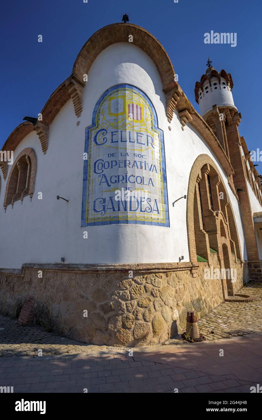 Vista esterna della cantina Cooperativa de Gandesa. È stato progettato dall'architetto César Martinell (Terra alta, Tarragona, Catalogna, Spagna) Foto Stock