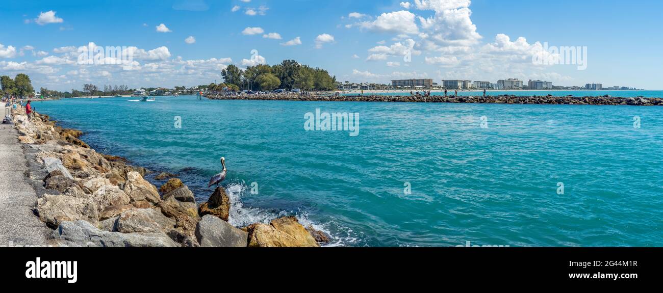 Seascape con vista sul Golfo del Messico, Venezia, Florida, Stati Uniti Foto Stock