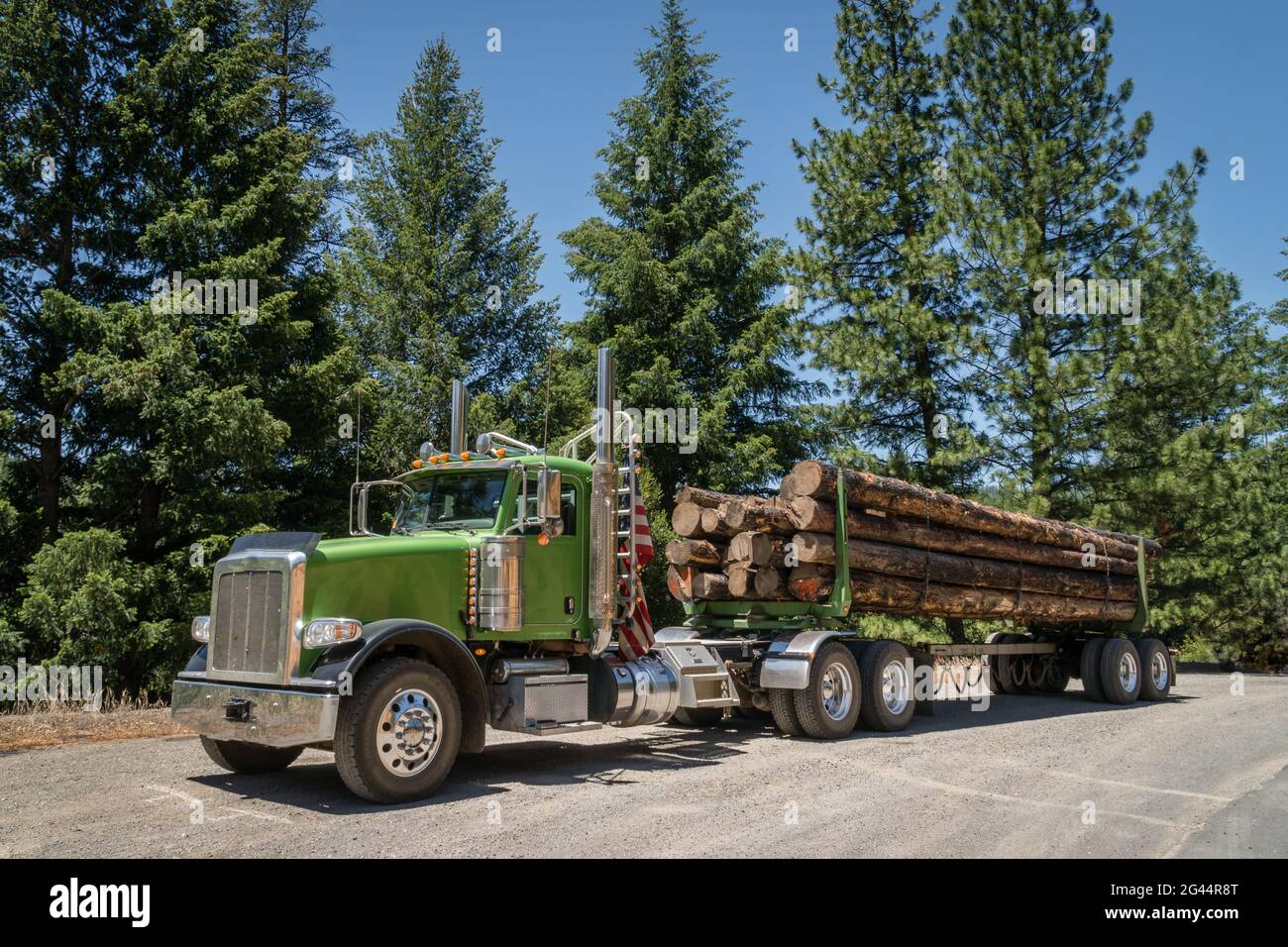 Camion di tronchi caricato con alberi precedentemente bruciati che sono portati a segheria per la lavorazione in legname per il mercato di costruzione di alloggiamento in espansione. Foto Stock
