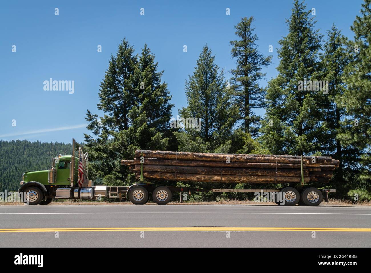 Camion di tronchi caricato con alberi precedentemente bruciati che sono portati a segheria per la lavorazione in legname per il mercato di costruzione di alloggiamento in espansione. Foto Stock