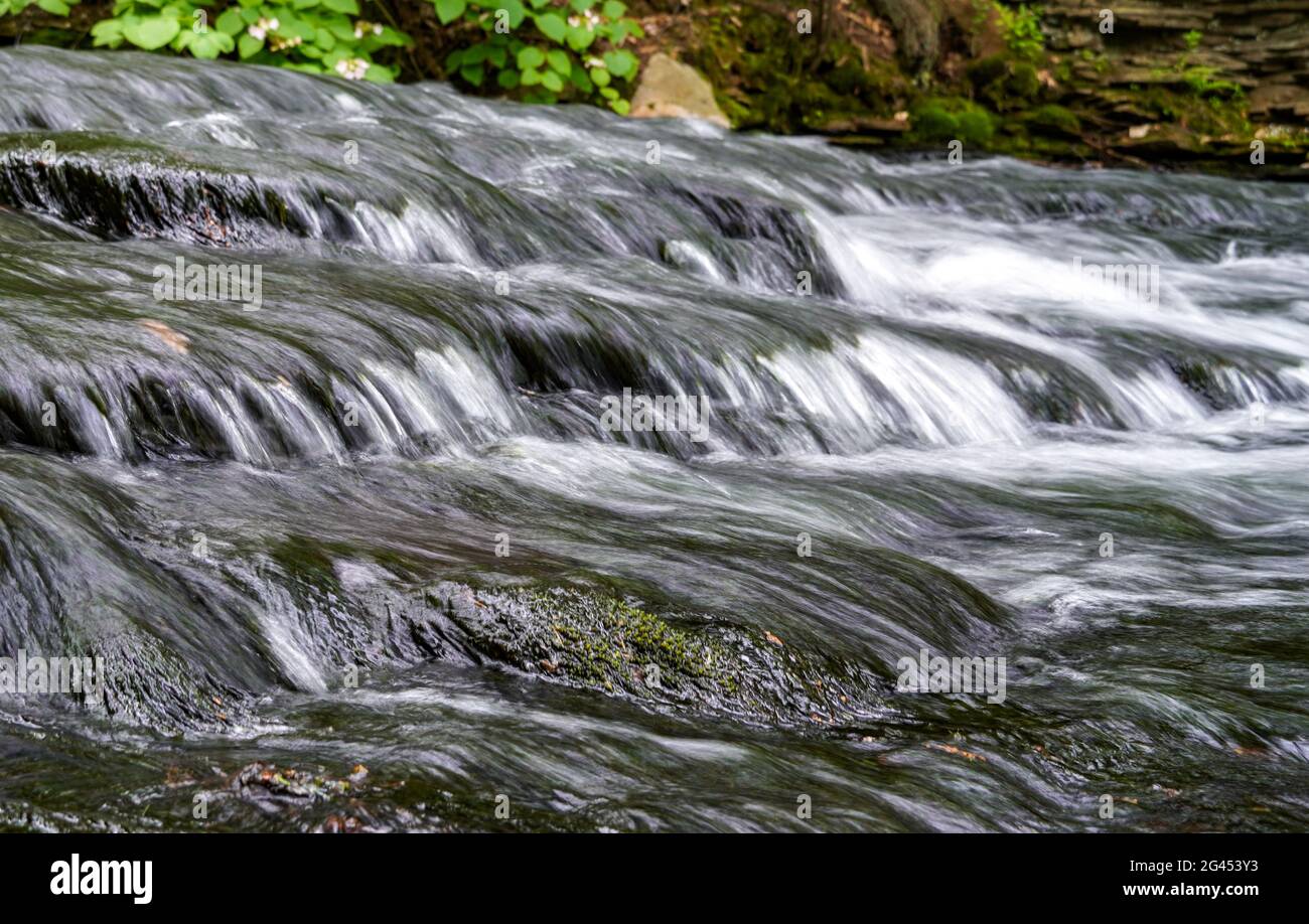Acqua che scorre giù un ruscello. Ricketts Glen state Park, Pennsylvania, Stati Uniti. Foto Stock