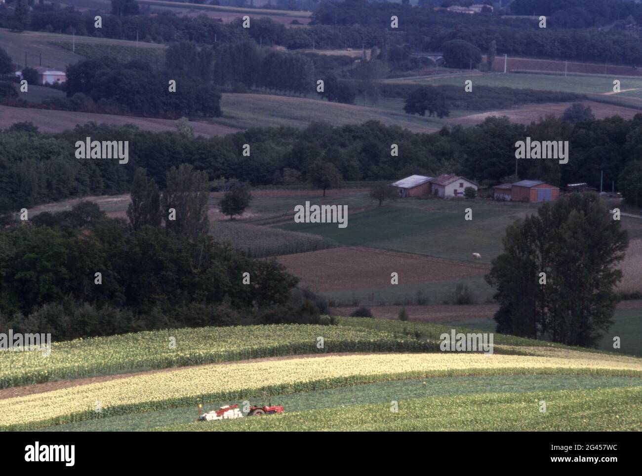 SCENA RURALE, CAUSSADE, TARN ET GARONNE, FRANCIA. Foto Stock