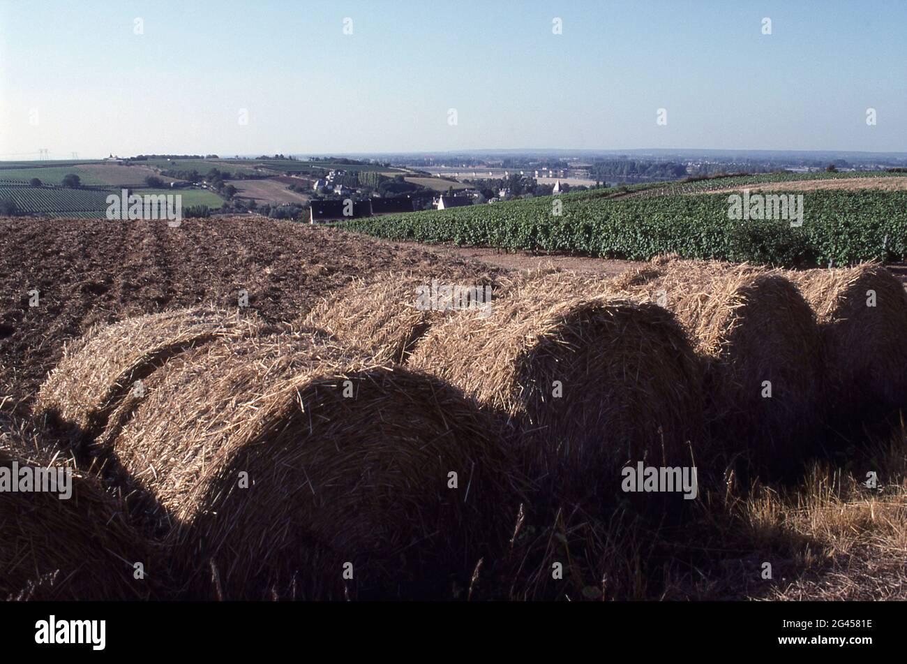 SCENA RURALE NELLA VALLE DELLA LOIRA (VAL HULIN) FRANCIA. Foto Stock