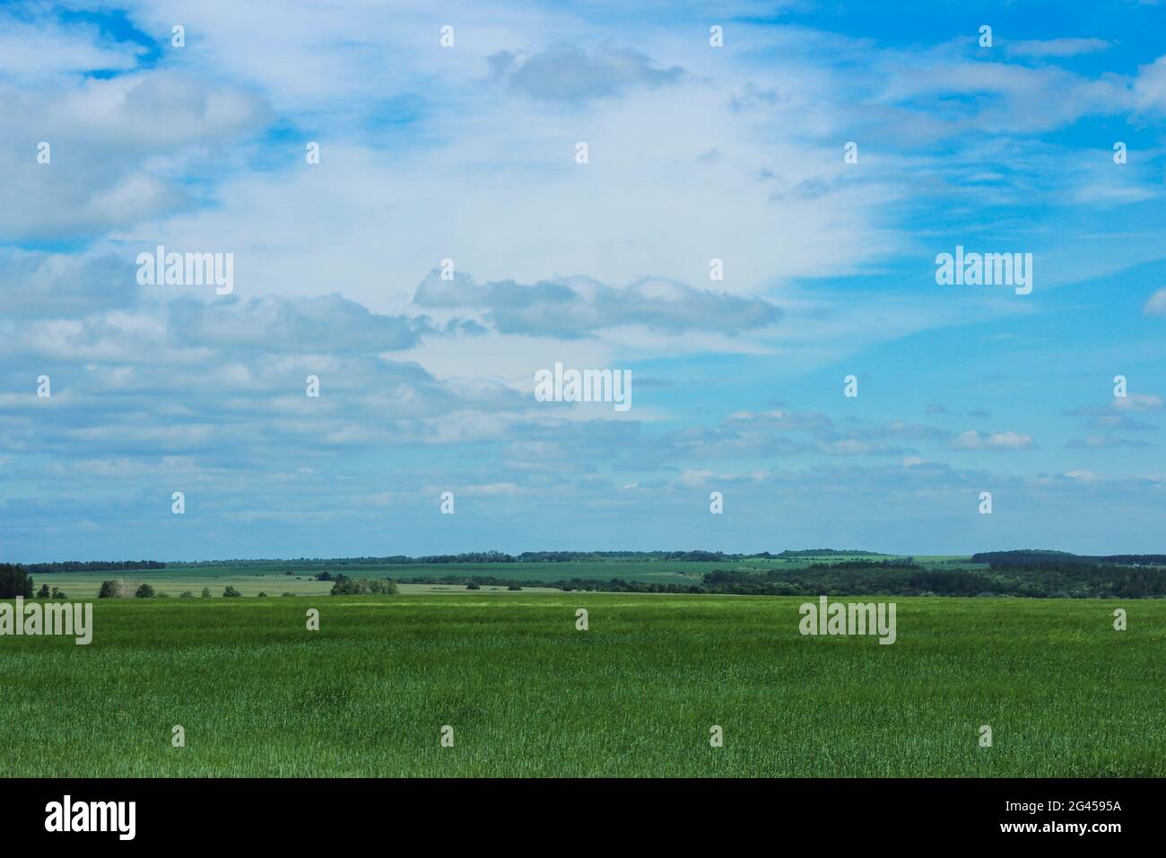 Paesaggio estivo con vista sul campo verde e il cielo con le nuvole Foto Stock