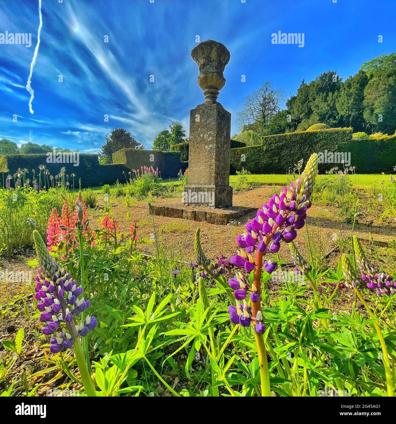 Magico giardino inglese Foto Stock